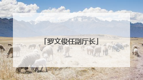 罗文俊任副厅长