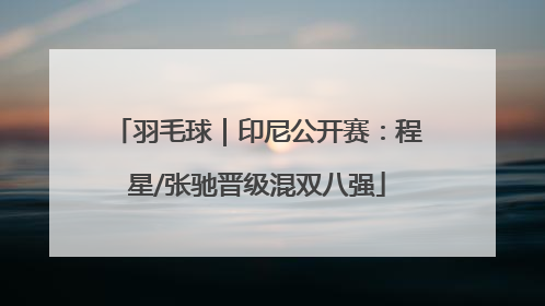 羽毛球｜印尼公开赛：程星/张驰晋级混双八强