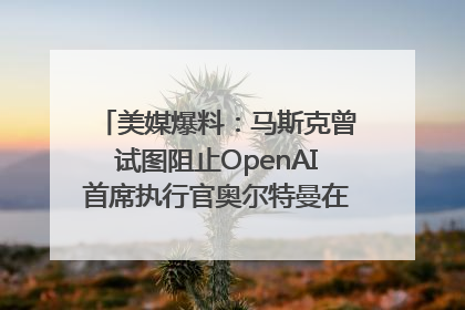 美媒爆料：马斯克曾试图阻止OpenAI首席执行官奥尔特曼在中东的AI交易