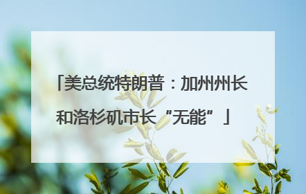 美总统特朗普：加州州长和洛杉矶市长“无能”