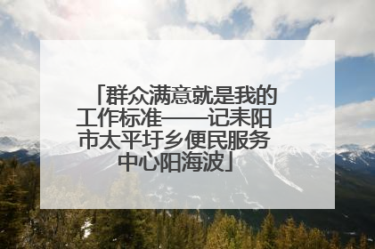 群众满意就是我的工作标准——记耒阳市太平圩乡便民服务中心阳海波