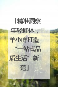精准洞察年轻群体，羊小咩打造“一站式品质生活”新范