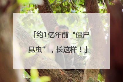 约1亿年前“僵尸昆虫”，长这样！