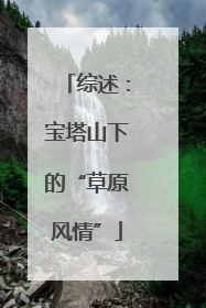 综述：宝塔山下的“草原风情”