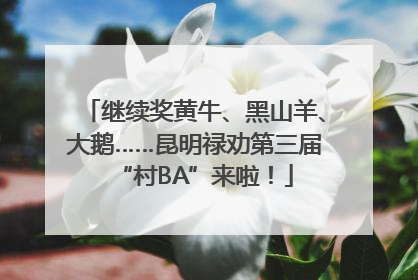 继续奖黄牛、黑山羊、大鹅……昆明禄劝第三届“村BA”来啦！