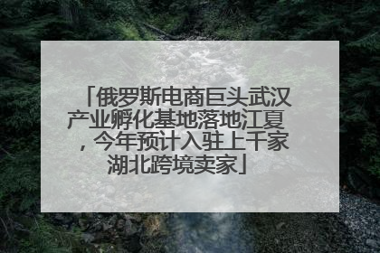 俄罗斯电商巨头武汉产业孵化基地落地江夏，今年预计入驻上千家湖北跨境卖家