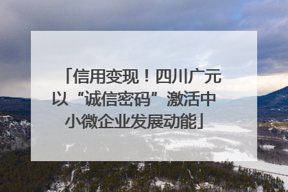 信用变现！四川广元以“诚信密码”激活中小微企业发展动能