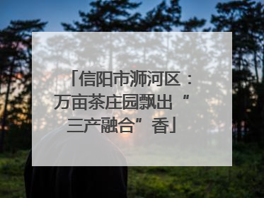 信阳市浉河区：万亩茶庄园飘出“三产融合”香