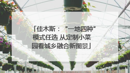 佳木斯：“一地四种” 模式任选 从定制小菜园看城乡融合新图景