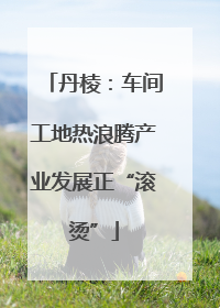 丹棱：车间工地热浪腾产业发展正“滚烫”