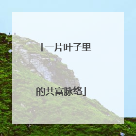 一片叶子里的共富脉络
