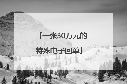 一张30万元的特殊电子回单