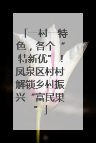 一村一特色，各个“特新优”！凤泉区村村解锁乡村振兴“富民果”