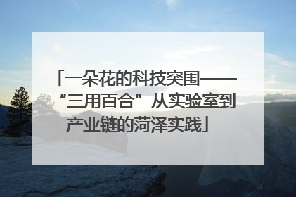 一朵花的科技突围——“三用百合”从实验室到产业链的菏泽实践