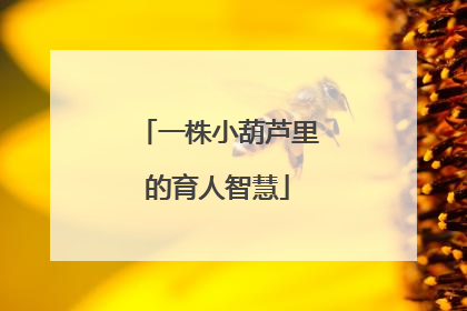 一株小葫芦里的育人智慧