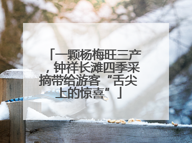 一颗杨梅旺三产，钟祥长滩四季采摘带给游客“舌尖上的惊喜”