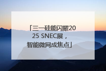 三一硅能闪耀2025 SNEC展，智能微网成焦点