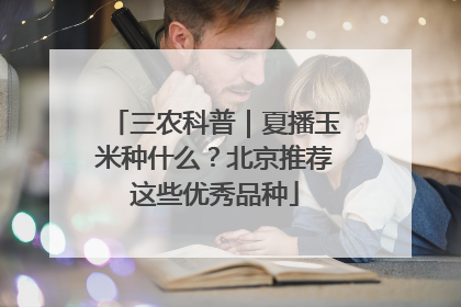三农科普｜夏播玉米种什么？北京推荐这些优秀品种