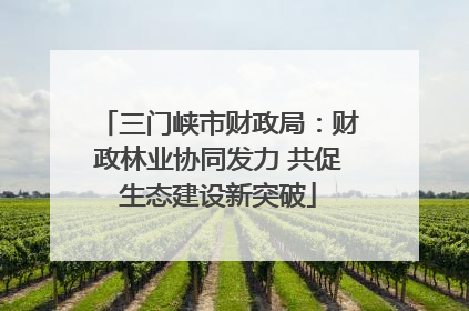 三门峡市财政局：财政林业协同发力 共促生态建设新突破