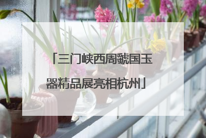 三门峡西周虢国玉器精品展亮相杭州