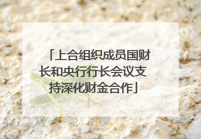 上合组织成员国财长和央行行长会议支持深化财金合作
