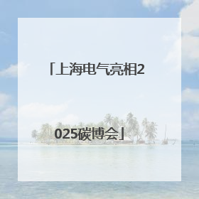 上海电气亮相2025碳博会