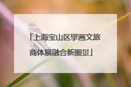 上海宝山区擘画文旅商体展融合新图景