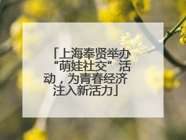 上海奉贤举办“萌娃社交”活动，为青春经济注入新活力