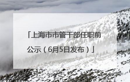 上海市市管干部任职前公示（6月5日发布）