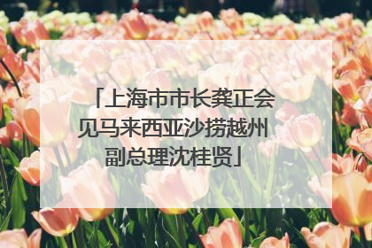 上海市市长龚正会见马来西亚沙捞越州副总理沈桂贤