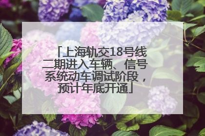 上海轨交18号线二期进入车辆、信号系统动车调试阶段，预计年底开通