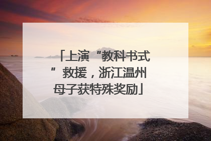 上演“教科书式”救援，浙江温州母子获特殊奖励