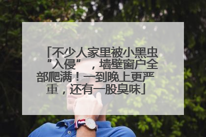 不少人家里被小黑虫“入侵”，墙壁窗户全部爬满！一到晚上更严重，还有一股臭味