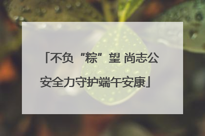 不负“粽”望 尚志公安全力守护端午安康