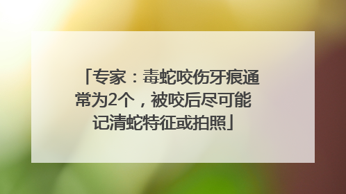 专家：毒蛇咬伤牙痕通常为2个，被咬后尽可能记清蛇特征或拍照