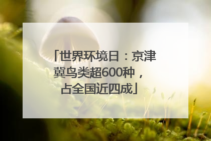 世界环境日：京津冀鸟类超600种，占全国近四成
