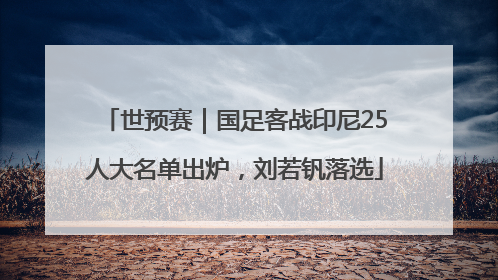 世预赛｜国足客战印尼25人大名单出炉，刘若钒落选