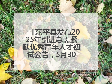 东平县发布2025年引进急需紧缺优秀青年人才初试公告，5月30日开展面谈