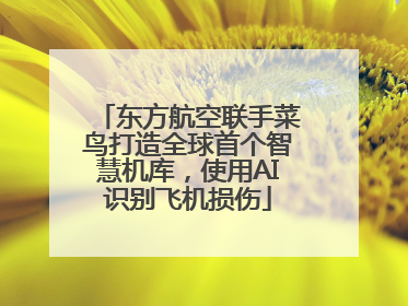东方航空联手菜鸟打造全球首个智慧机库，使用AI识别飞机损伤