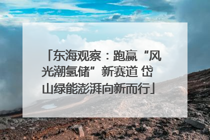 东海观察：跑赢“风光潮氢储”新赛道 岱山绿能澎湃向新而行