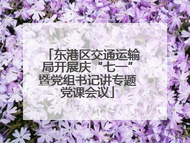 东港区交通运输局开展庆“七一”暨党组书记讲专题党课会议