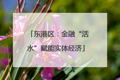东港区：金融“活水”赋能实体经济