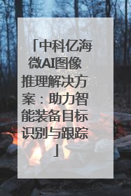 中科亿海微AI图像推理解决方案：助力智能装备目标识别与跟踪