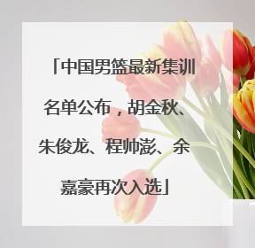中国男篮最新集训名单公布，胡金秋、朱俊龙、程帅澎、余嘉豪再次入选