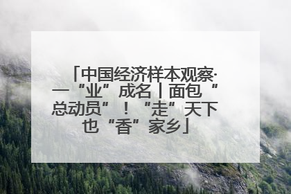 中国经济样本观察·一“业”成名丨面包“总动员”！“走”天下也“香”家乡