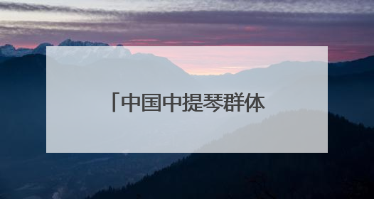 中国中提琴群体崛起缩影，上音学生林怡秀中提琴国际赛事夺冠