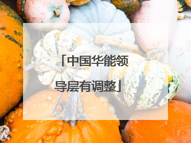 中国华能领导层有调整