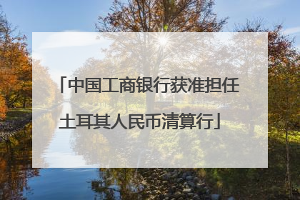 中国工商银行获准担任土耳其人民币清算行