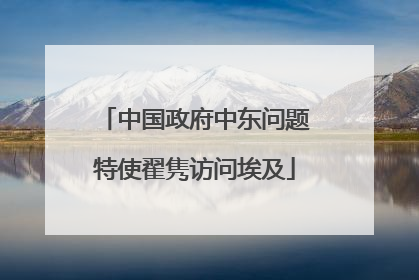 中国政府中东问题特使翟隽访问埃及