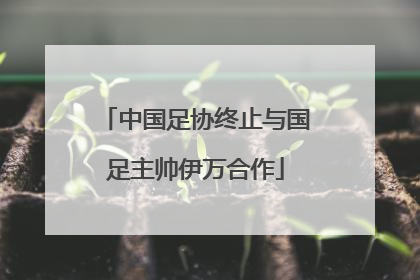 中国足协终止与国足主帅伊万合作